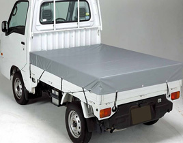 Truck Poly Liners 